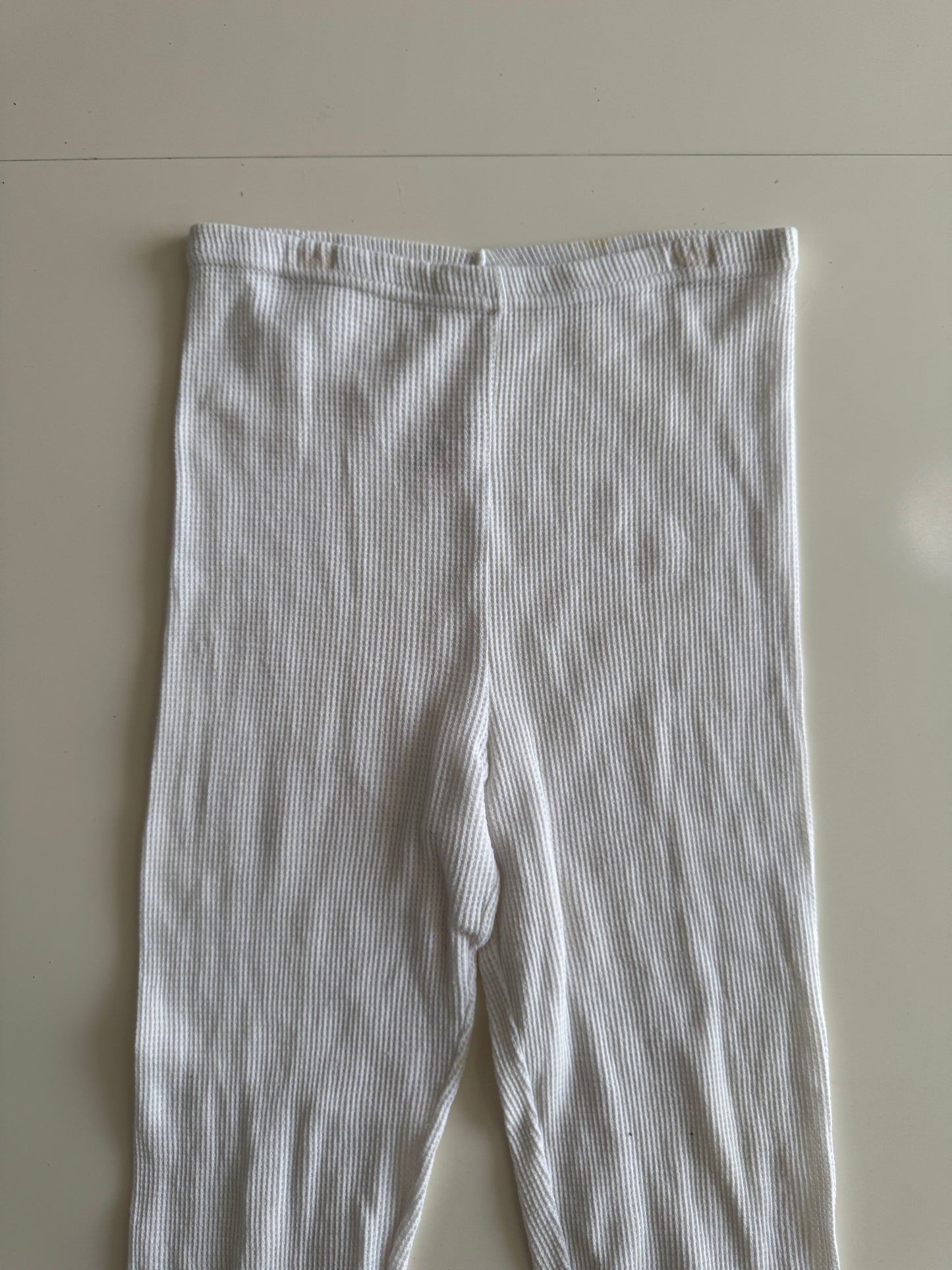 Leggins termicos, Talla XL, Mujer, Bambinela