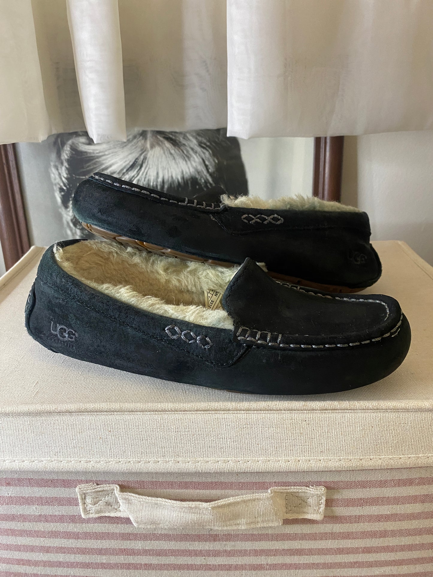 Pantuflas azul marino, Talla 7USA