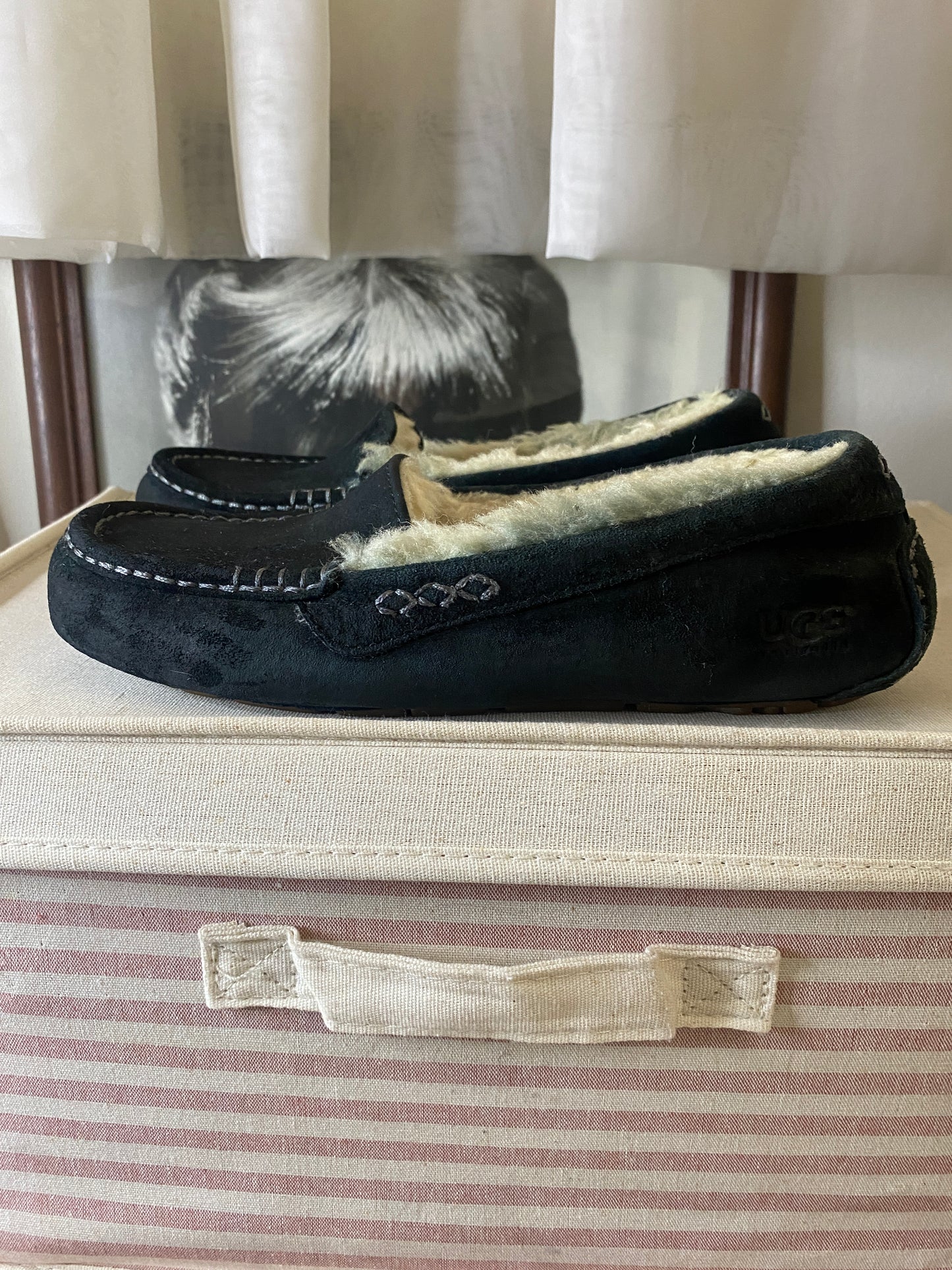 Pantuflas azul marino, Talla 7USA